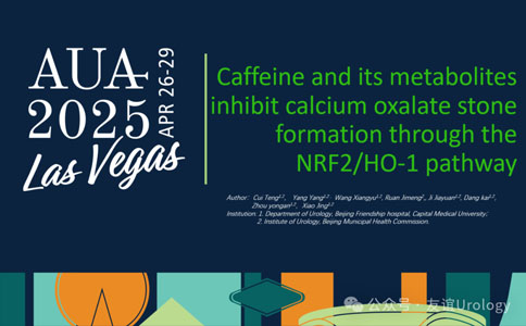 AUA 2025